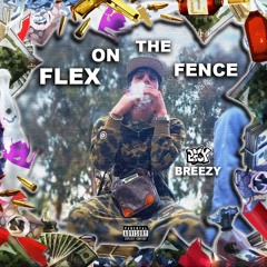 FlexOnTheFence