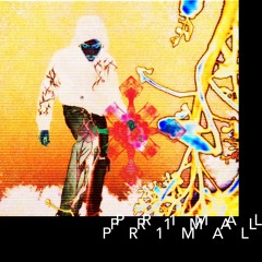 L1L1 3(PRIMAL VERSION)