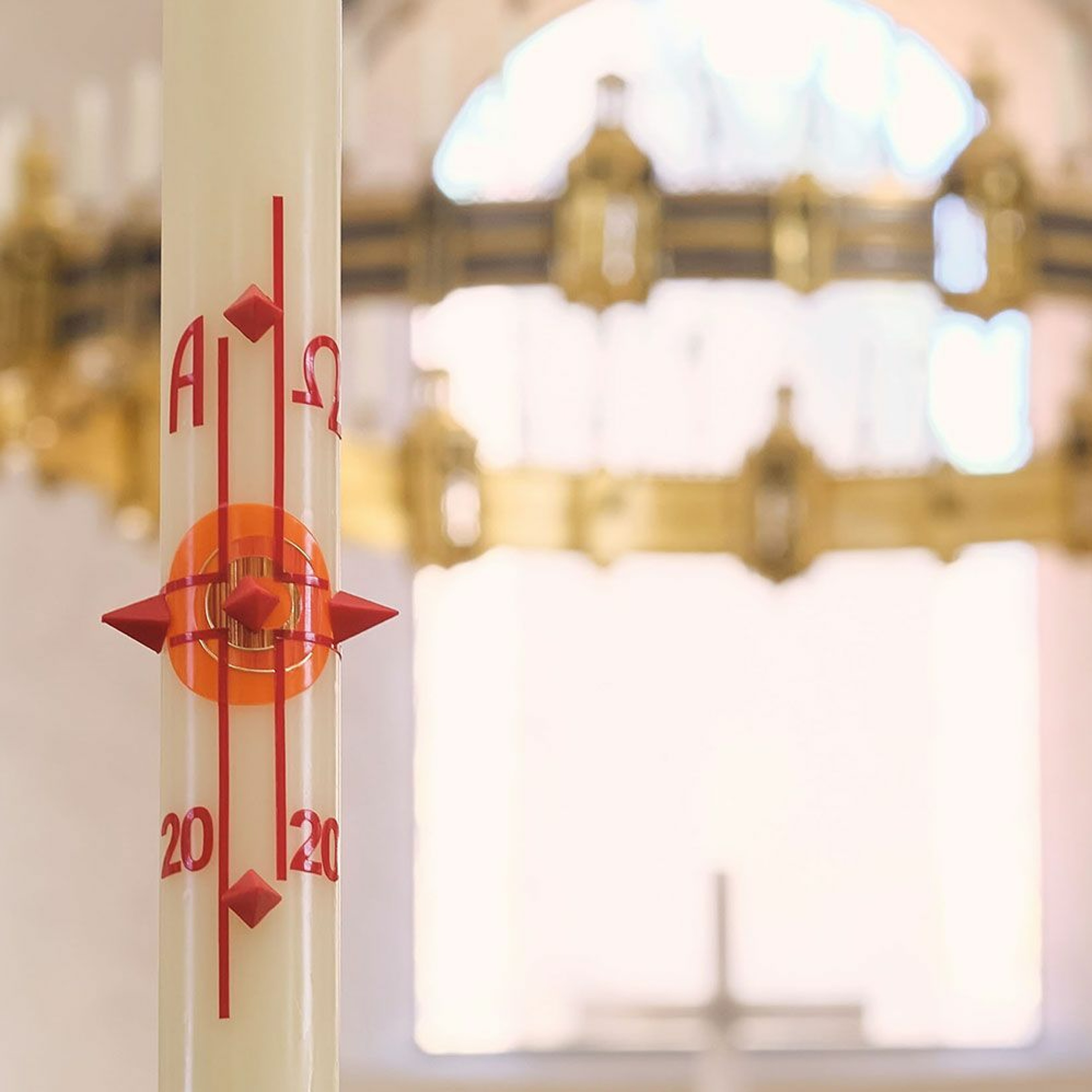 Predigten im Hildesheimer Dom
