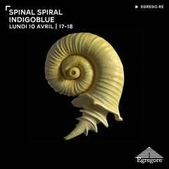 Spinal Spiral - indigoblue (Avril 2023)
