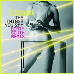 The Things You Say (Dirty South Remix)