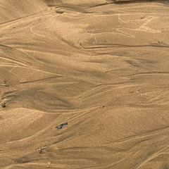 tracks