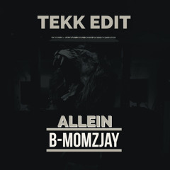 Badmomzjay - Allein (Tekk Edit Remix)