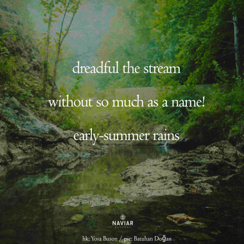 early summer rains [naviarhaiku590]