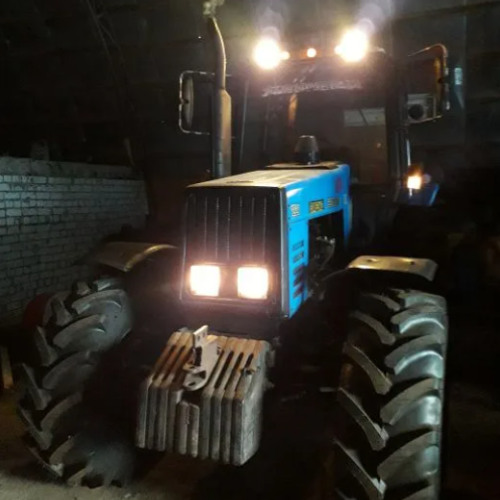 рыбы