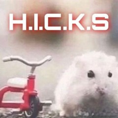 H.I.C.K.S