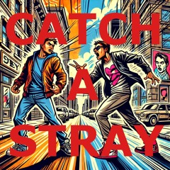 Catch A Stray