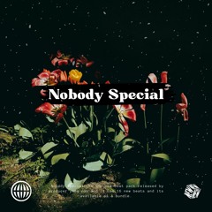 Apr 6th 24 Beat Pack "Nobody Special" - Download Link Below