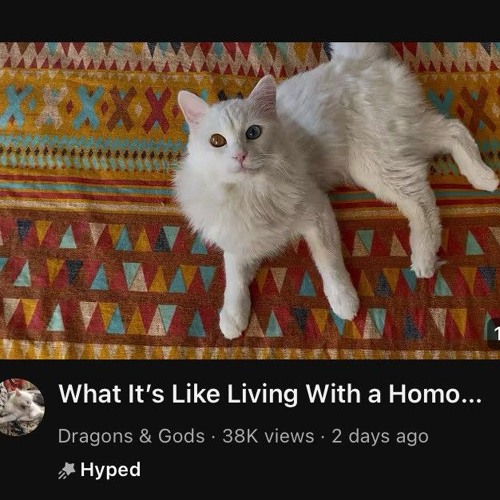 STOMACH BOOK⠀⠀♡⠀⠀Casket Kids