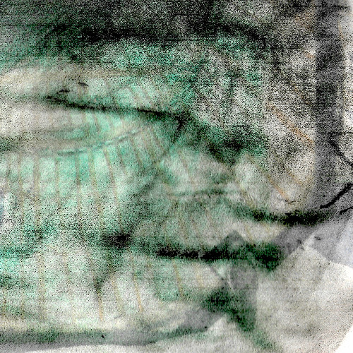 𝖕𝖗𝖊𝖒𝖎𝖊𝖗𝖊#369 📢 Lovesurgr - Self Call [Plor]