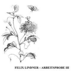 Felix Lindner - Arbeitsprobe III