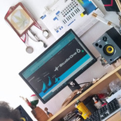 McČoja -Kloniranje iz 2008