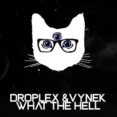 Droplex & Vynek - What The Hell (Original Mix)