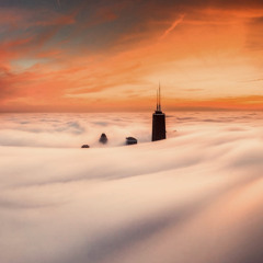 Live in Chicago: August 2024