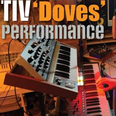 Tiv - 'Doves' - Live Performance 2025