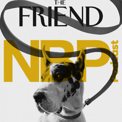 Interview With "The Friend" Filmmakers Scott McGehee & David Siegel