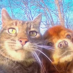 Милана Хаметова ЛП & Моргенштерн Кадиллак