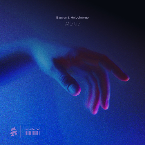 Banyan & Holochrome - Afterlife