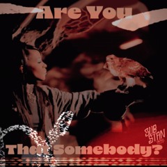 Are You That Somebody? (Aaliyah Mashup)