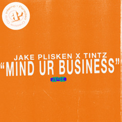 JAKE PLISKEN & TINTZ - MIND UR BUSINESS ( SERTONE REMIX) - SHOCKWAVE MASTERED - 4416