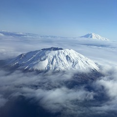 It needs to topple on somebody