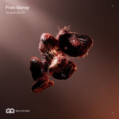 Fran Garay - Modularity