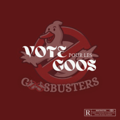 VOTE POUR LES GOOS