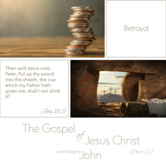 Voice Note for 20241221 - TheGospelofJesusChrist-Part22-John18-Betrayal
