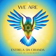 Sacred Silence (live)