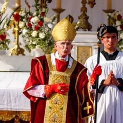 Chartres 2024 - Sermon Du Dimanche - Mgr Tissier de Mallerais