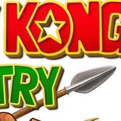 Donkey Kong Country Returns: Rocket Barrel 1 Cover