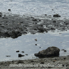 Mindlessness Meditation 5