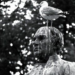 Oi! Merepek - Taik Burung