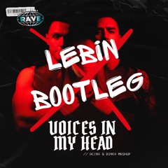 ACINA & BONKA - VOICES IN MY HEAD MASHUP (LEBIN BOOTLEG) (FREE DOWNLOAD)