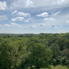 What Does The Future Hold?