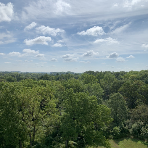 What Does The Future Hold?