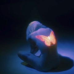 fever dreams.
