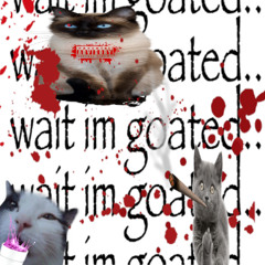 Heavyweights feat. 1500vogue & yungbleach