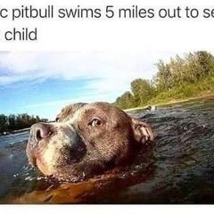 Wasting Days_vox RF BASS MIX.mp3