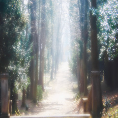 run with me (prod. glossalia)