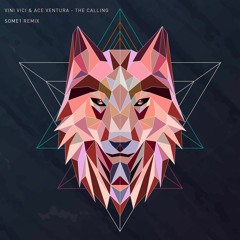 Vini Vici & Ace Ventura - The Calling (SOME1 Remix)