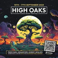 High Oaks Festival 2023 - Frosty B2B Curtsey