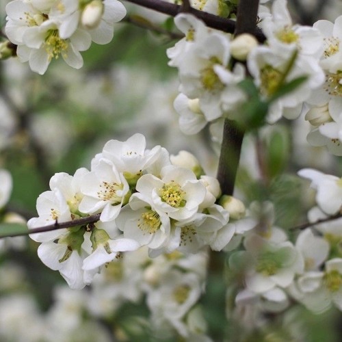 amg no key ft jkj (prod. ikari)