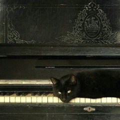 Øŕçĥªşţřąŧęđ