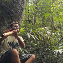 Flute improvisation [Tikal - Guatemala]