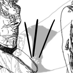 anatomia