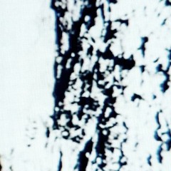 dead ringer_20220524