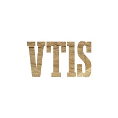 VT1S - Taqaniika