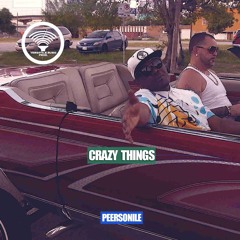 CRAZY THINGS