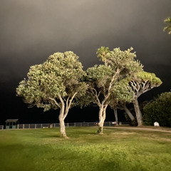 Speck of Dust (voice memo ‘21)